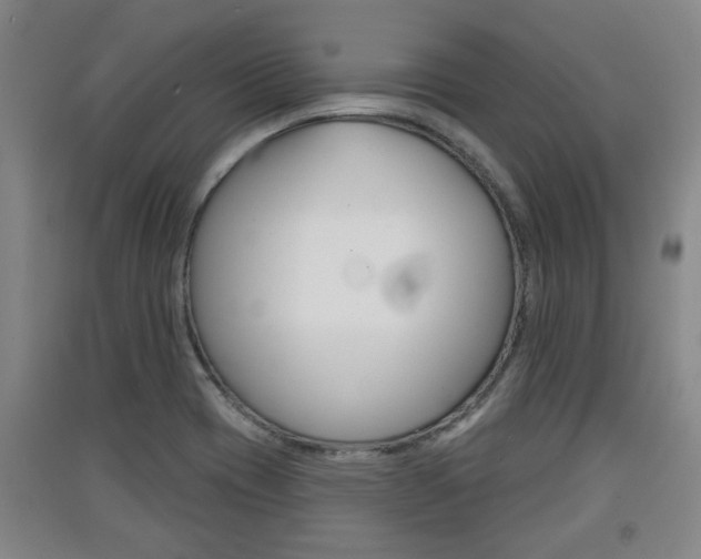 X0000091511417200708170940