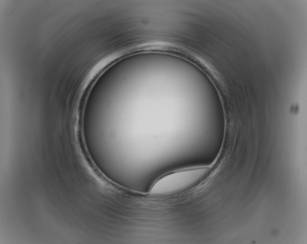 X0000091511418200708170940