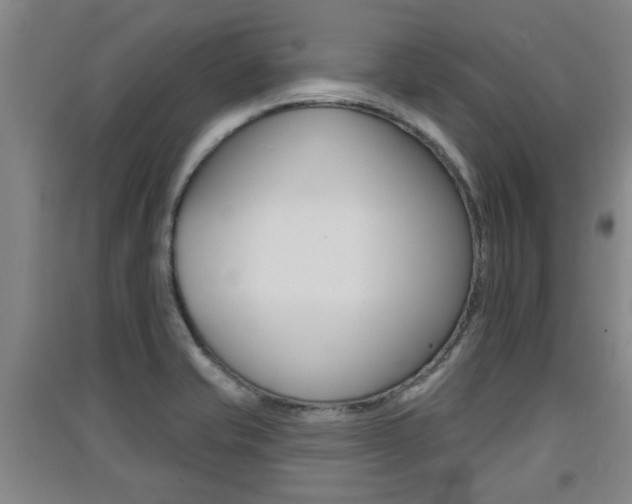 X0000091511421200708170940