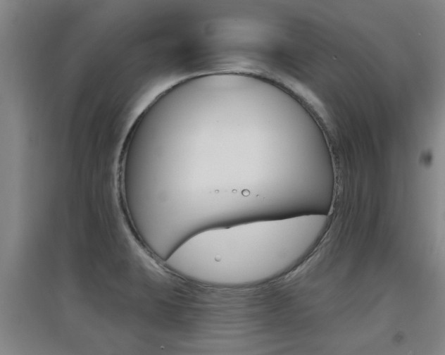 X0000091511423200708170940