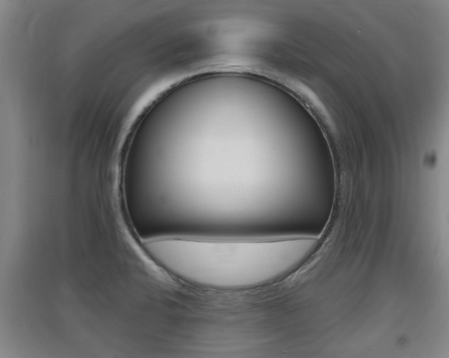 X0000091511424200708170940