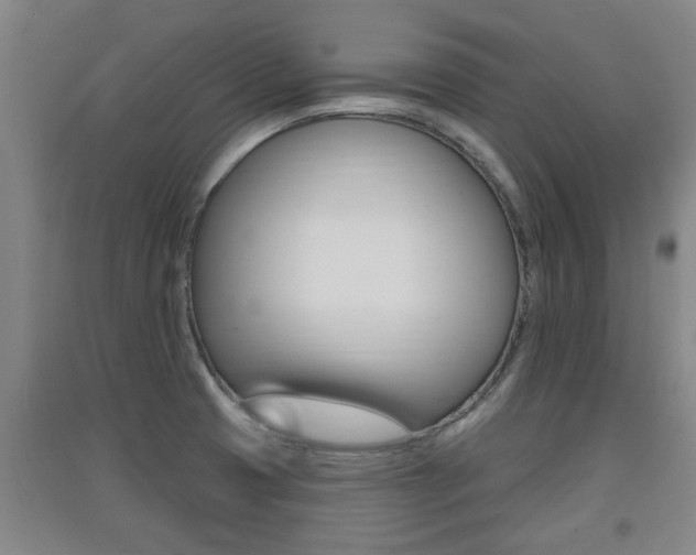 X0000091511425200708170940