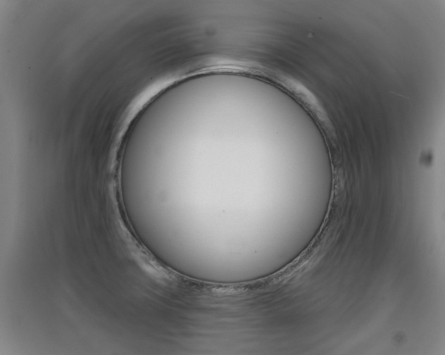 X0000091511427200708170940
