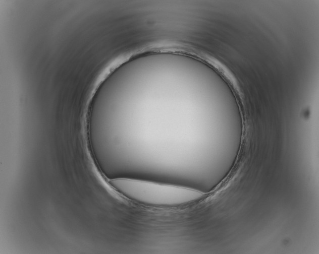 X0000091511429200708170940