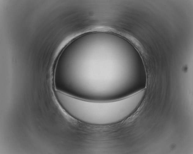 X0000091511430200708170940