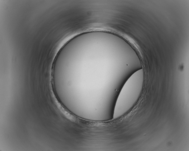 X0000091511431200708170940