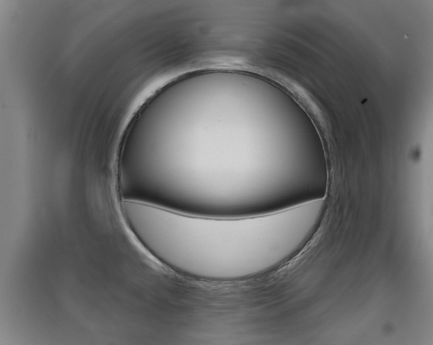 X0000091511432200708170940
