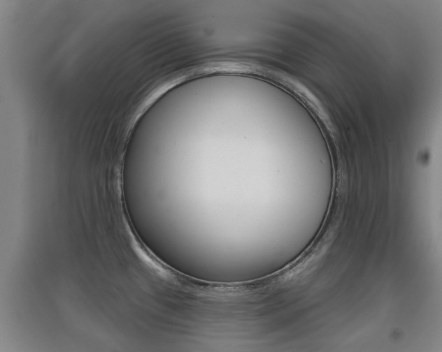 X0000091511433200708170940