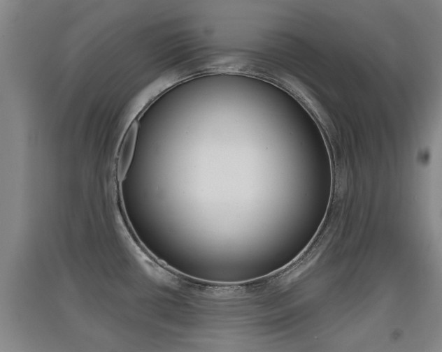 X0000091511434200708170940