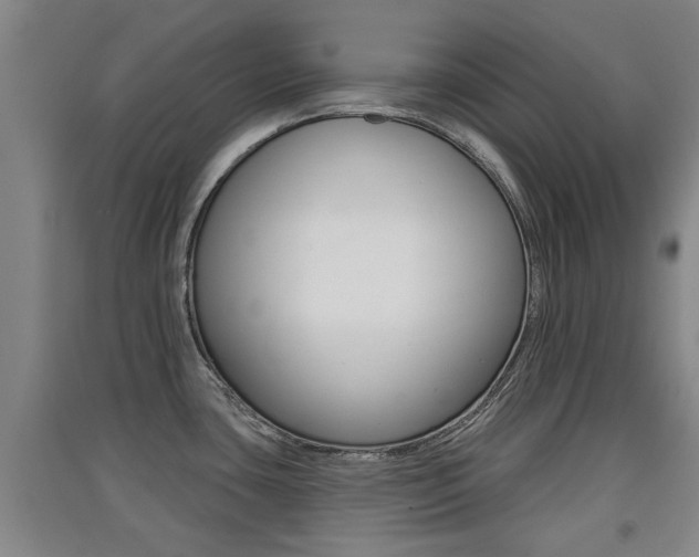 X0000091511435200708170940