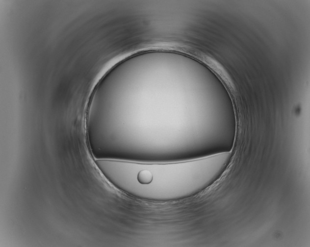 X0000091511436200708170940