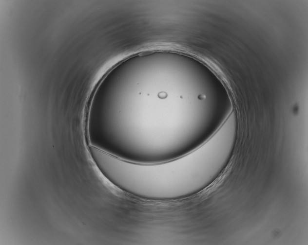 X0000091511438200708170940