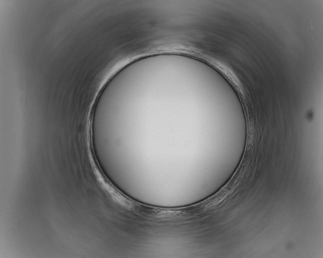 X0000091511439200708170941