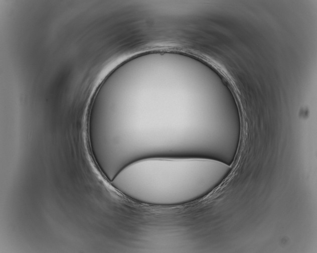 X0000091511440200708170941