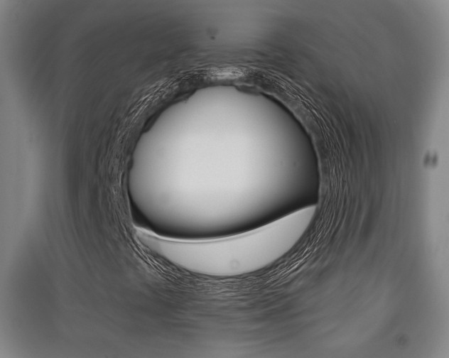 X0000091511441200708170940