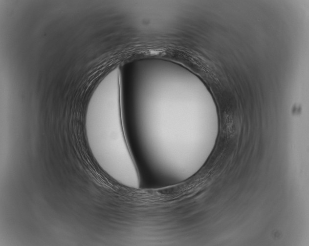 X0000091511442200708170940