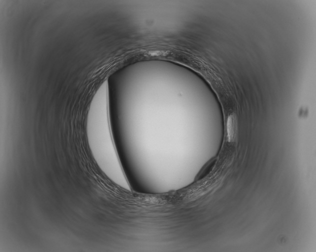 X0000091511443200708170940