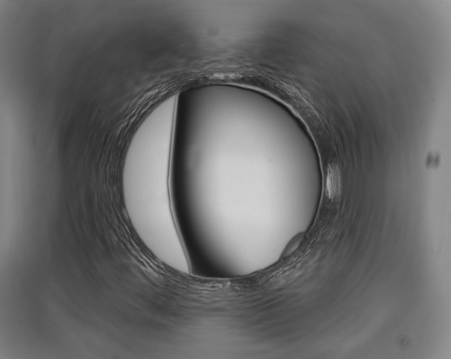 X0000091511444200708170940