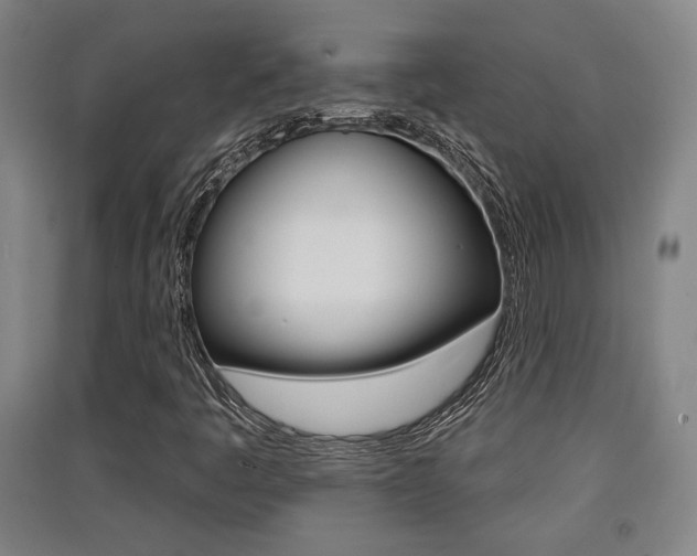 X0000091511445200708170940