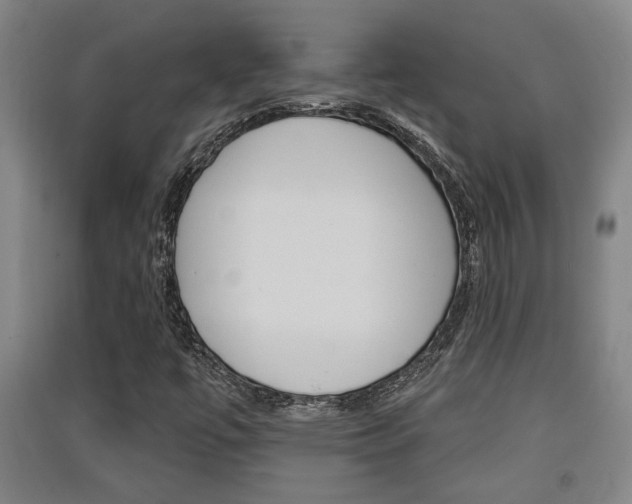 X0000091511447200708170940