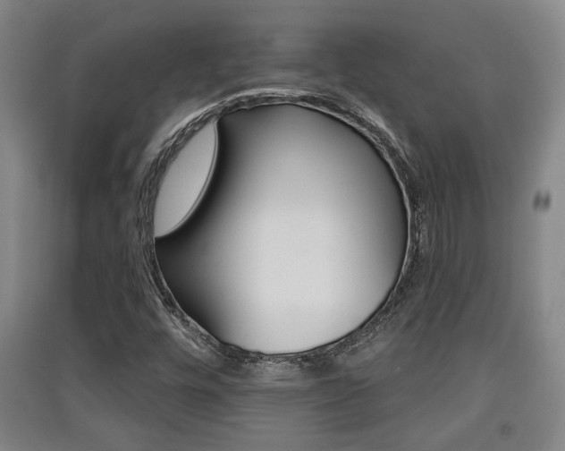 X0000091511448200708170940