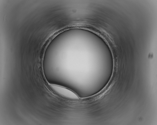 X0000091511449200708170940