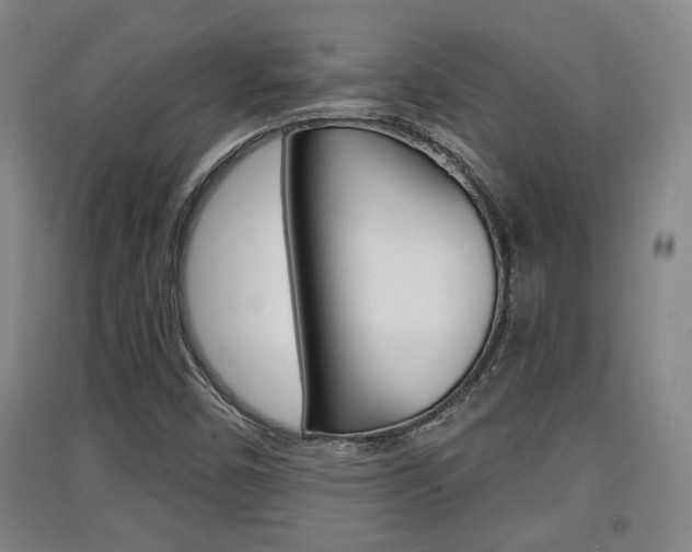 X0000091511450200708170940
