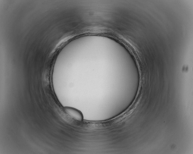 X0000091511451200708170940