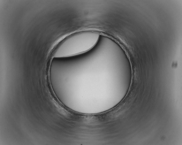 X0000091511452200708170940