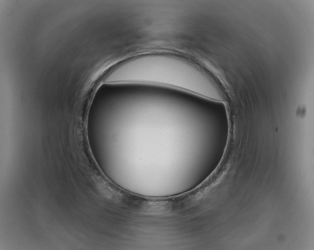 X0000091511453200708170940