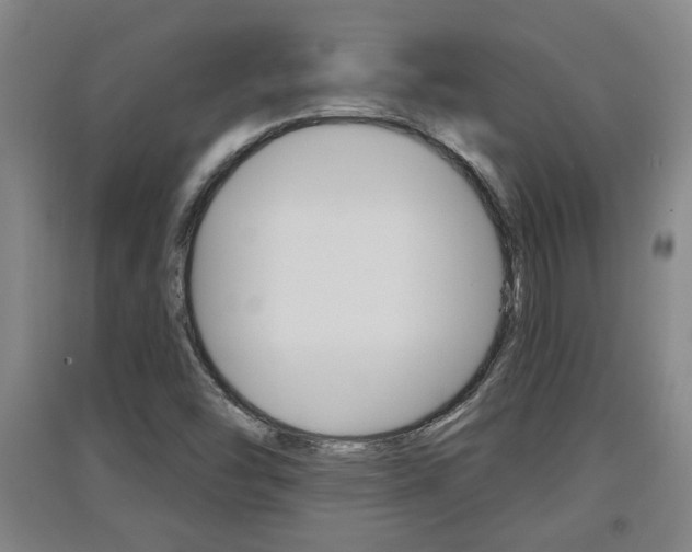 X0000091511454200708170940