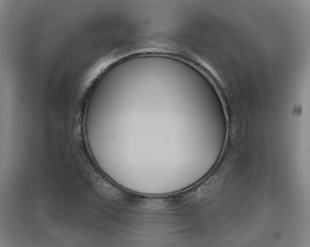 X0000091511455200708170940