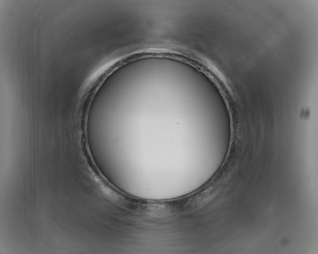 X0000091511456200708170940
