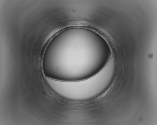 X0000091511457200708170940