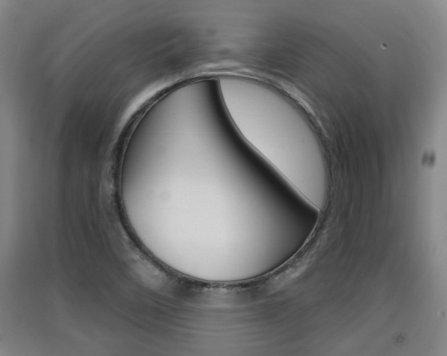 X0000091511458200708170940