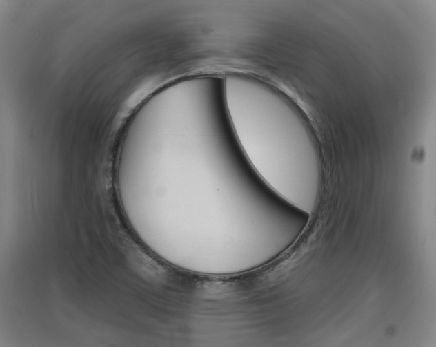 X0000091511459200708170940