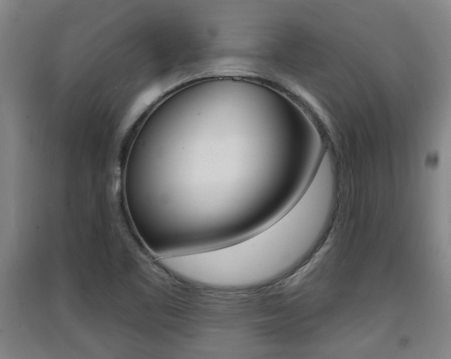 X0000091511461200708170939