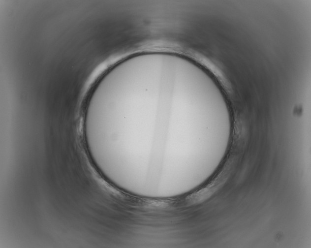 X0000091511462200708170939