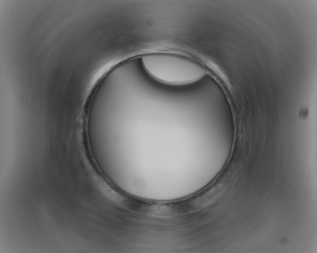X0000091511463200708170939