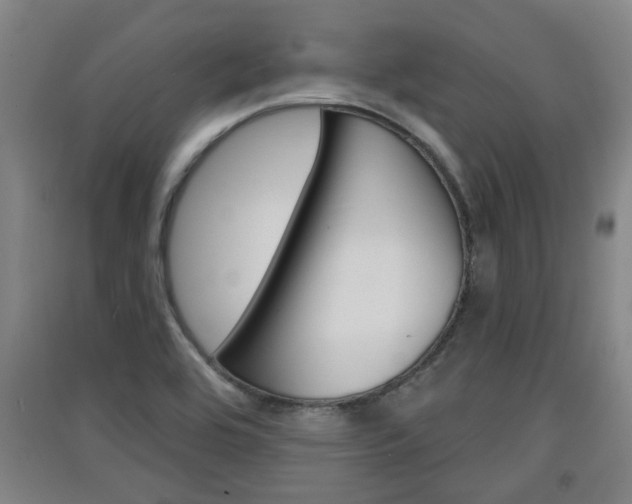 X0000091511464200708170939