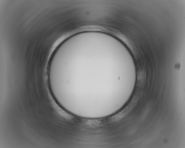 X0000091511466200708170939