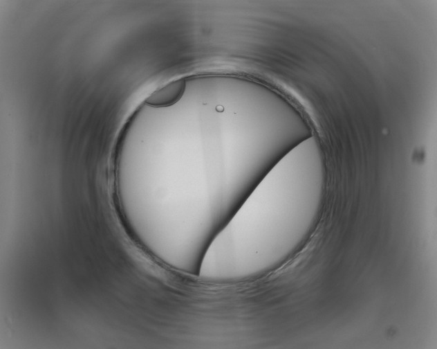 X0000091511467200708170939