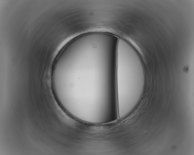 X0000091511468200708170939