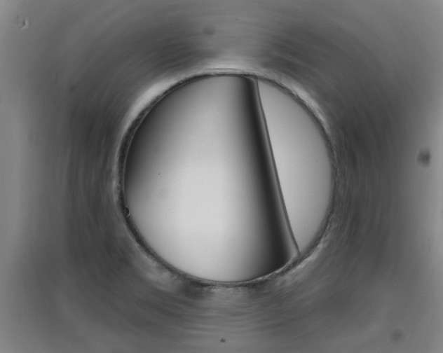 X0000091511469200708170939