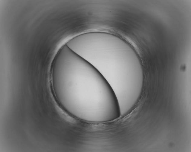 X0000091511471200708170939