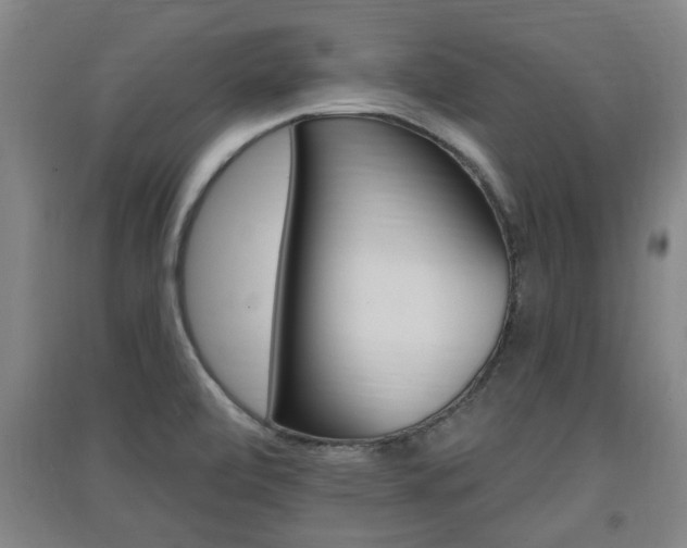 X0000091511472200708170939