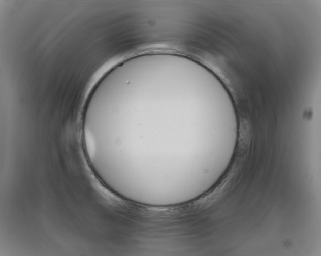 X0000091511474200708170939
