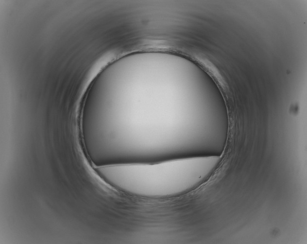 X0000091511475200708170939