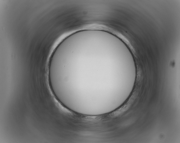 X0000091511478200708170939