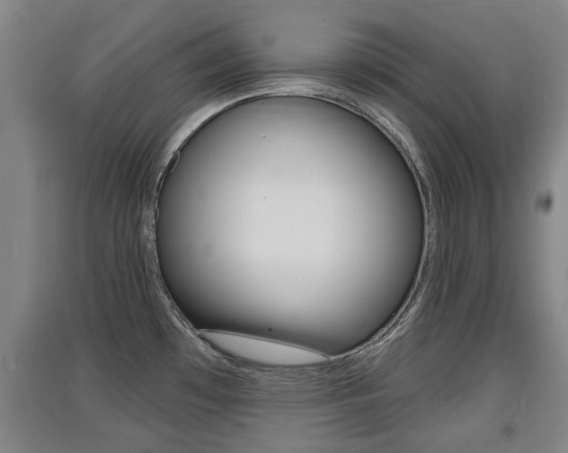 X0000091511481200708170939